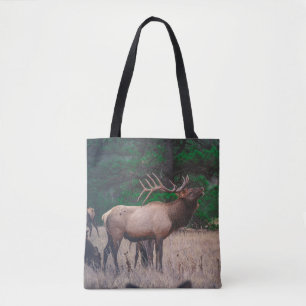 BROWN MOOSE IN DER NÄHE VON GRÜNEM BAUM AM TAG