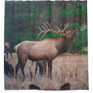 BROWN MOOSE IN DER NÄHE VON GRÜNEM BAUM AM TAG DUSCHVORHANG