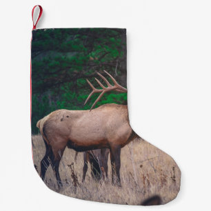 BROWN MOOSE IN DER NÄHE VON GRÜNEM BAUM AM TAG KLEINER WEIHNACHTSSTRUMPF