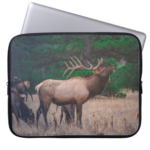 BROWN MOOSE IN DER NÄHE VON GRÜNEM BAUM AM TAG LAPTOPSCHUTZHÜLLE