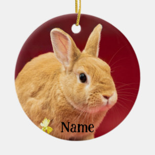Brown Neitherland Zwarf Bunny Rabbit Keramik Ornament