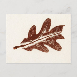 "Brown Oak Leaf #2" Landstraßen Postkarte