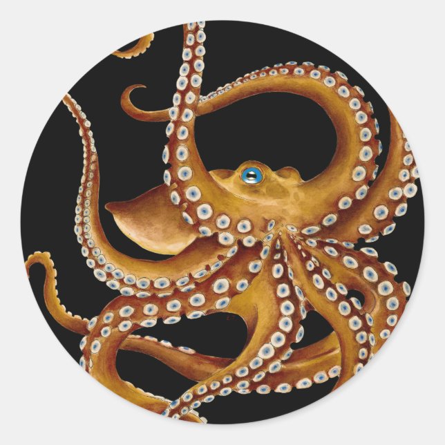 Brown Octopus Blue Eye Black Art Runder Aufkleber (Vorderseite)