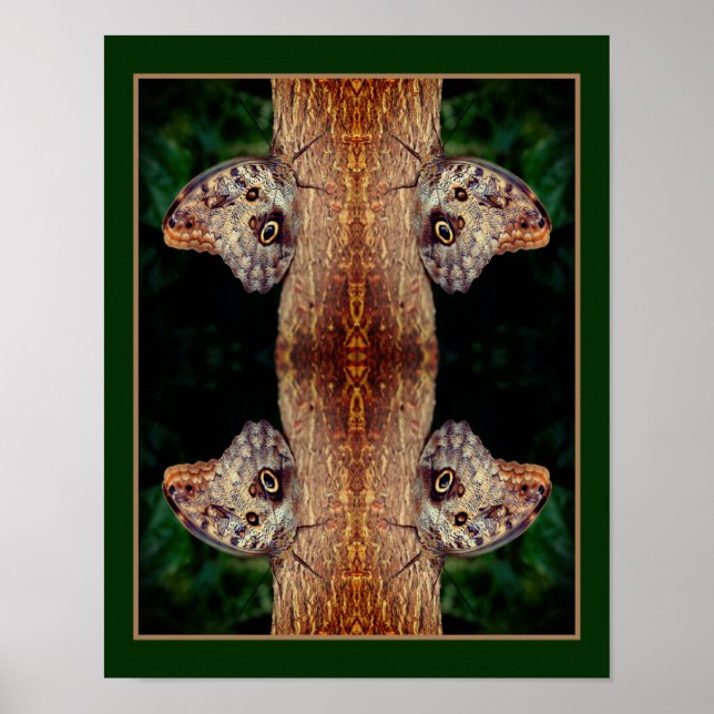 Brown Owl Butterfly Nah Natur Abstrakt Poster (Vorne)
