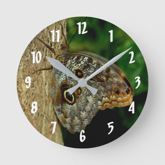 Brown Owl Butterfly Tierart Runde Wanduhr (Vorderseite)