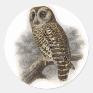 Brown Owl Runder Aufkleber