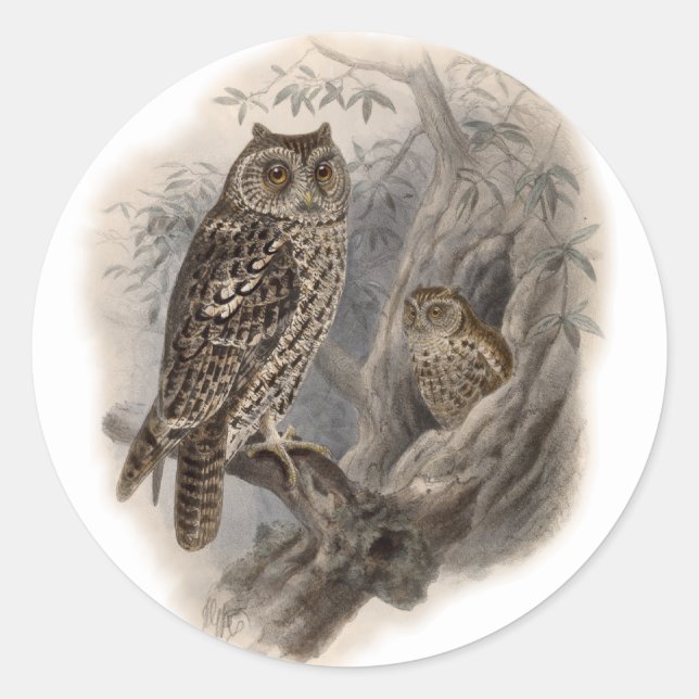 Brown Owl Runder Aufkleber (Vorderseite)
