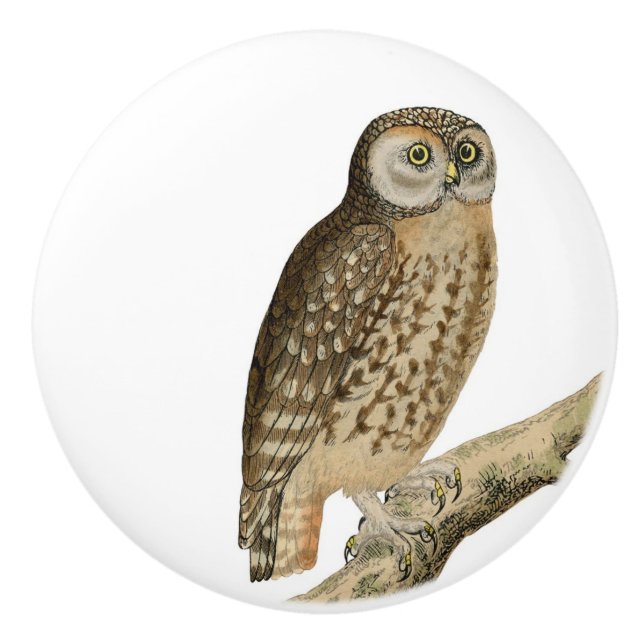 Brown Owl Vintage Kunst Keramikknauf (Vorderseite)
