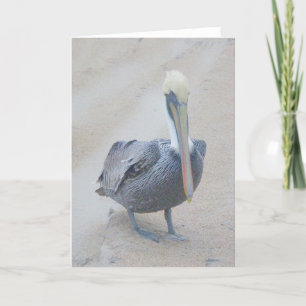 Brown Pelican #1 Note Card Karte