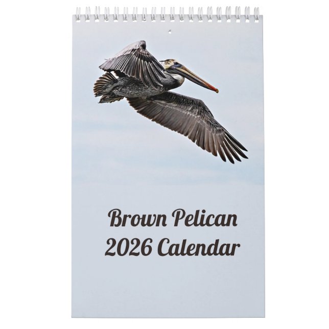 Brown Pelican 2025 Kalender (Titelbild)