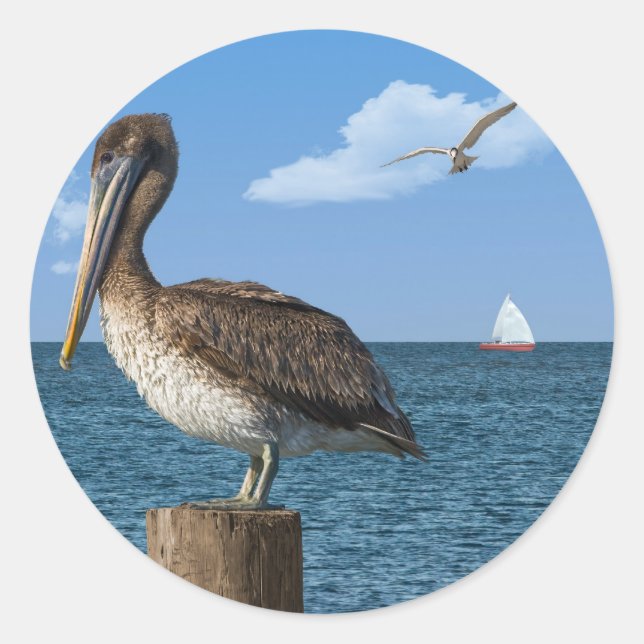 Brown Pelican auf einem Postaufkleber Runder Aufkleber (Vorderseite)