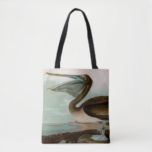 Brown Pelican Birds America Audubon Print