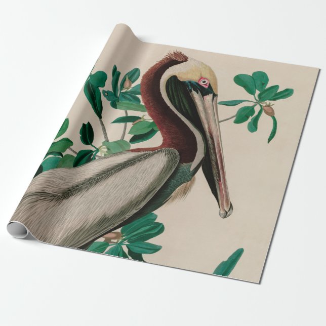 Brown Pelican Birds America Audubon Print Geschenkpapier (Ungerollt)