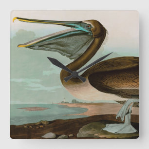 Brown Pelican Birds America Audubon Print Quadratische Wanduhr