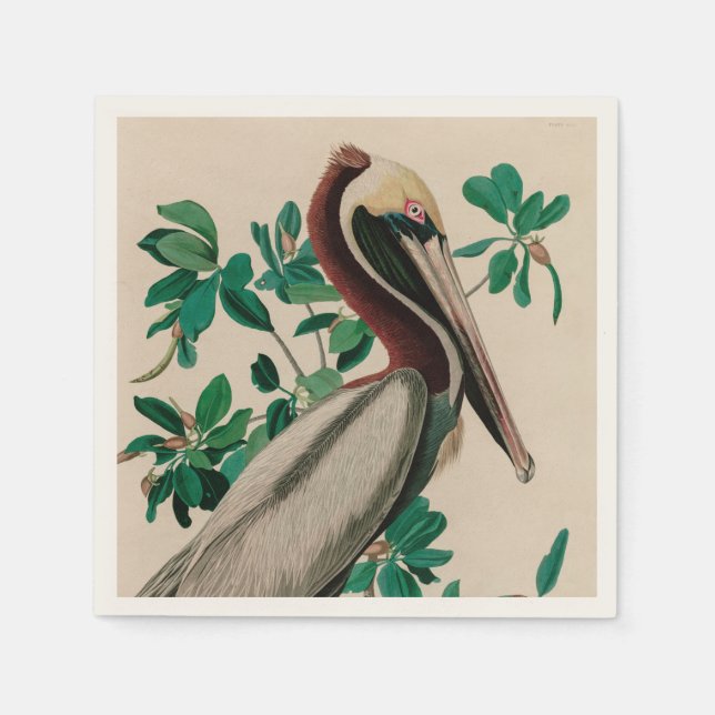 Brown Pelican Birds America Audubon Print Serviette (Vorderseite)