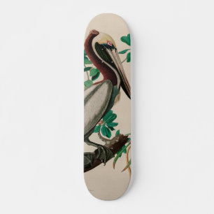 Brown Pelican Birds America Audubon Print Skateboard