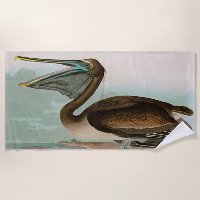 Brown Pelican Birds America Audubon Print Strandtuch (Vorderseite)