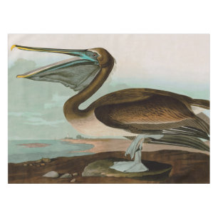 Brown Pelican Birds America Audubon Print Tischdecke