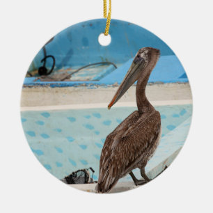 Brown Pelican   Cabo San Lucas Keramik Ornament