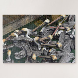Brown Pelican Crowd, Florida Puzzle