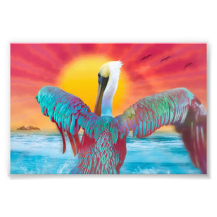 Brown Pelican ISLAND SUNSET Fotodruck
