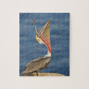 Brown Pelican mit offenem Mund Puzzle