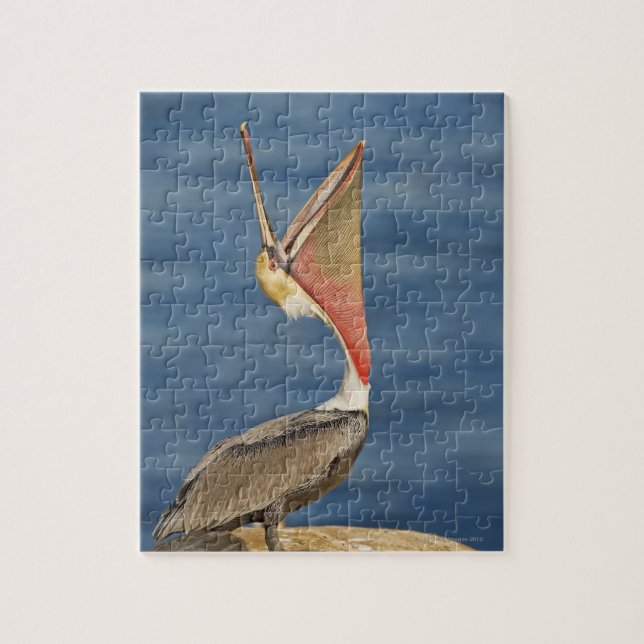 Brown Pelican mit offenem Mund Puzzle (Vertikal)