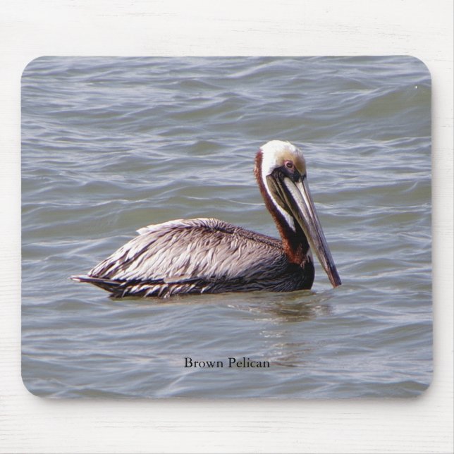 Brown Pelican Mousepad (Vorne)
