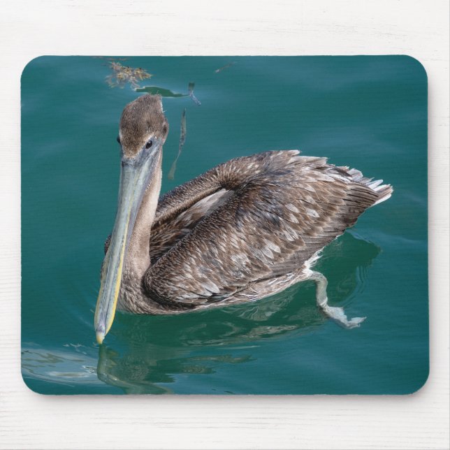 Brown Pelican Mousepad (Vorne)