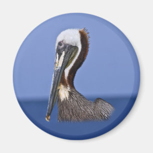 Brown Pelican Portrait Magnet