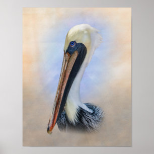 Brown Pelican Poster