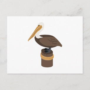 Brown Pelican Postkarte