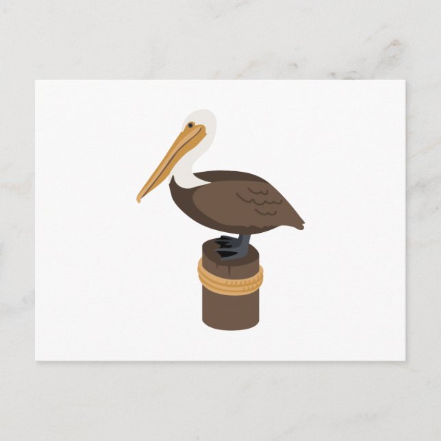 Brown Pelican Postkarte (Vorderseite)