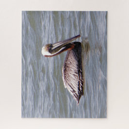Brown Pelican Puzzle