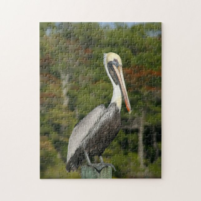 Brown Pelican Puzzle (Vertikal)