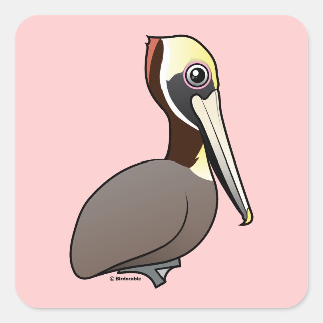 Brown Pelican Quadratischer Aufkleber (Vorderseite)