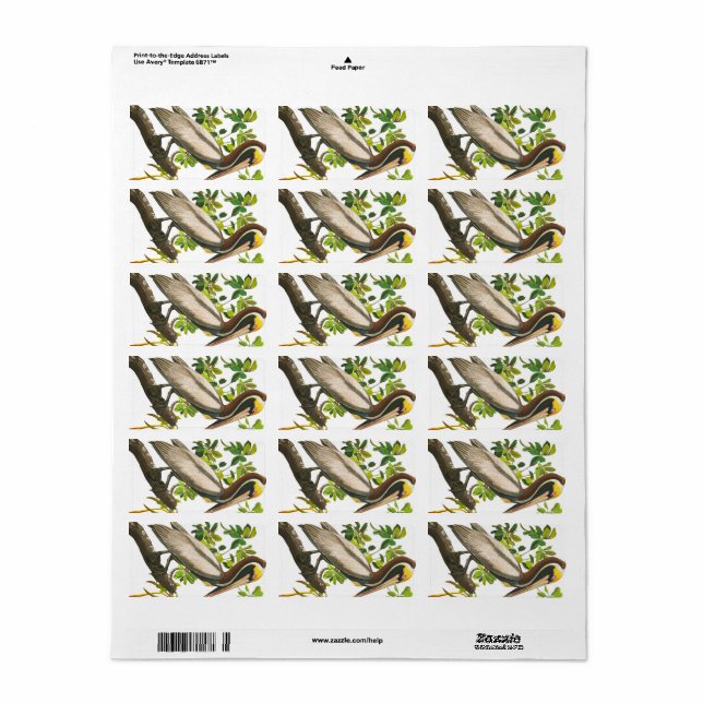 Brown Pelican von John James Audubon Adressaufkleber (Vorne)