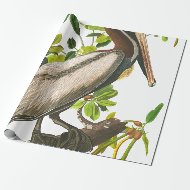 Brown Pelican von John James Audubon Geschenkpapier (Ungerollt)