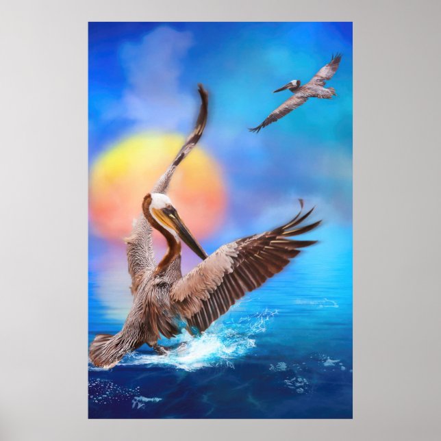 Brown Pelicans SUN KISSED ISLAND Poster (Vorne)