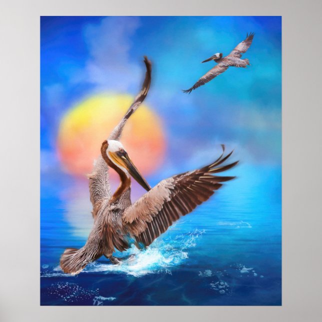 Brown Pelicans "SUN KISSED PELICANS" Poster (Vorne)