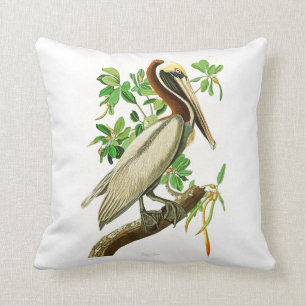 Brown-Pelikan-John James Audubon-Vögel von Amerik Kissen