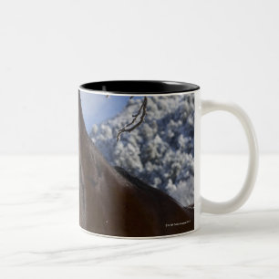 Brown-Pferd im Winter Zweifarbige Tasse