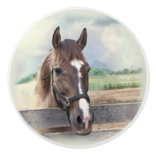 Brown-Pferd mit dem Halter Keramikknauf
