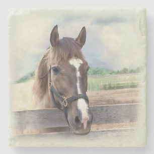 Brown-Pferd mit dem Halter Steinuntersetzer