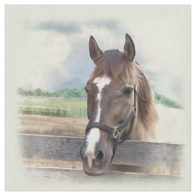 Brown-Pferd mit dem Halter Stoff (Nahaufnahme)