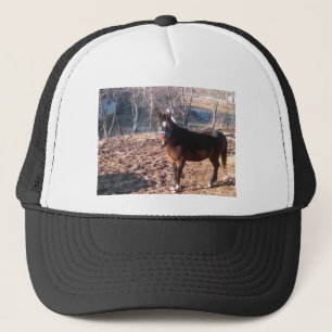 Brown-Pferd Truckerkappe