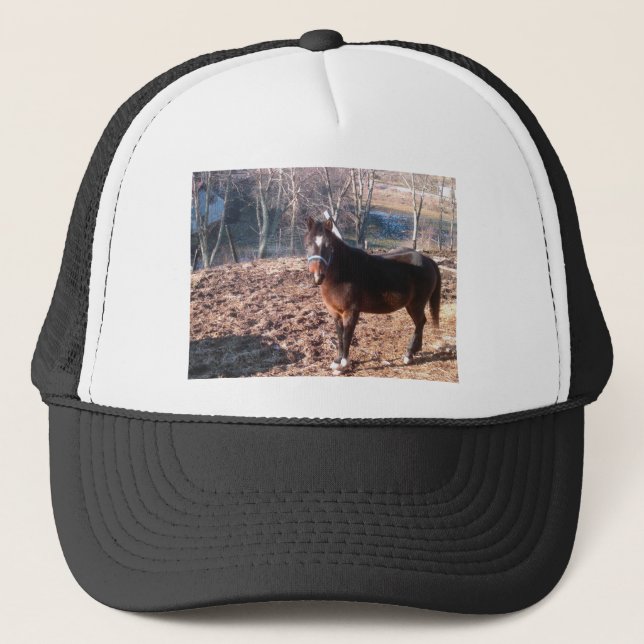 Brown-Pferd Truckerkappe (Vorderseite)
