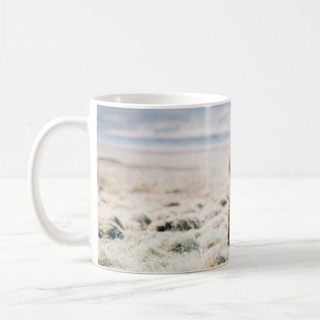 BROWN PFERDE AUF GRASS IN DER NÄHE DES STRANDES KAFFEETASSE (Links)