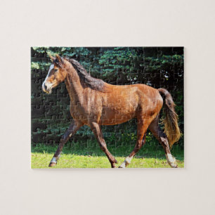 Brown-Pferdebetrieb Puzzle