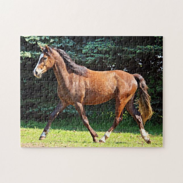 Brown-Pferdebetrieb Puzzle (Horizontal)